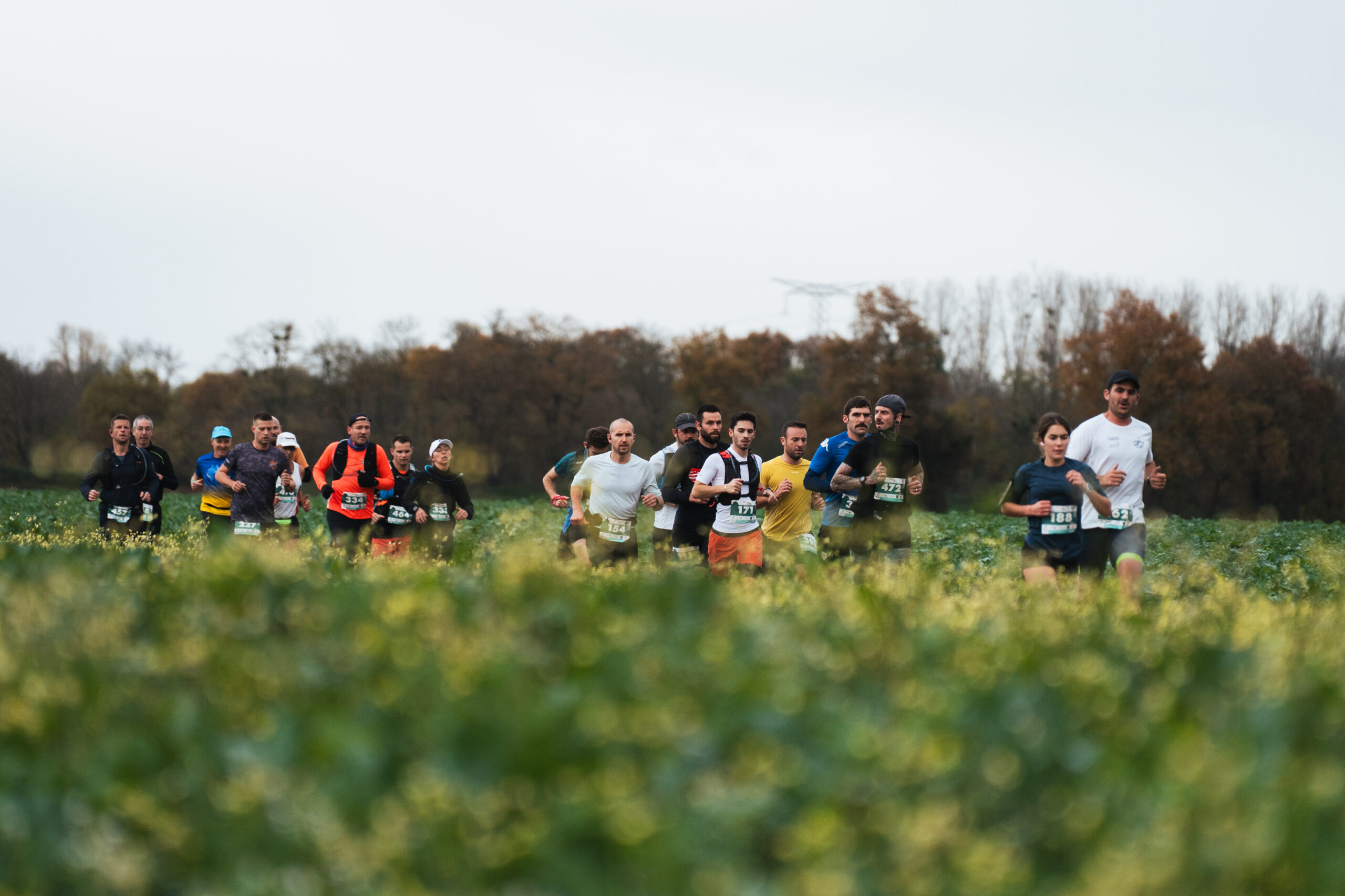 10km - Le Tour'o'Parc